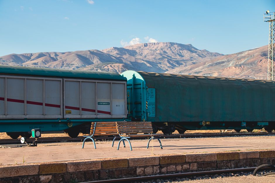 Freight train at a railway station with mountain backdrop