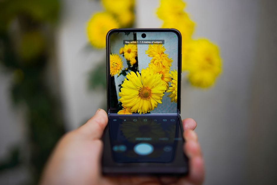 A foldable smartphone capturing vivid yellow flowers, showcasing technology and nature interaction.